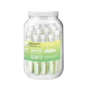 Sour Glue Sativa 1g Preroll Case Jar